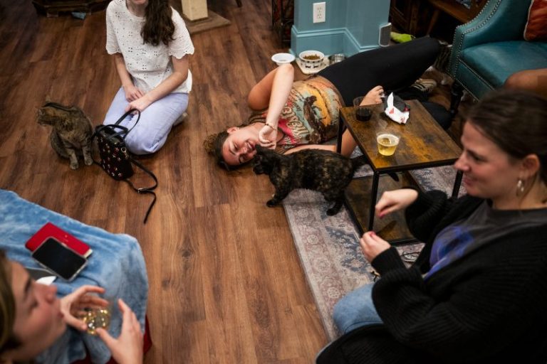 At one cat cafe, Vance’s ‘childless cat ladies’ remark prompts derision